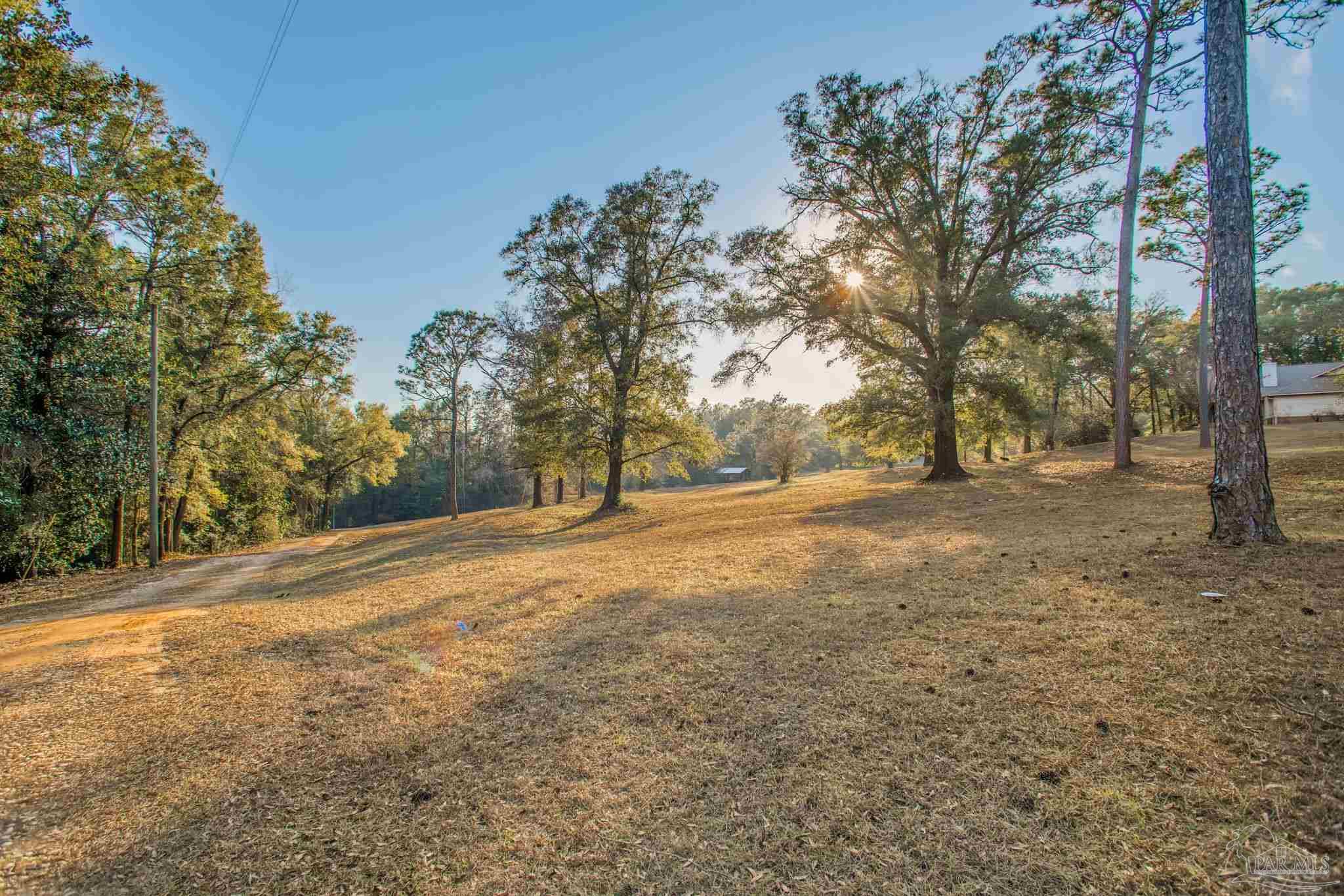 5150-5172 Siripon Road Milton, FL 32570 - Photo 41 of 54 a view of dirt yard with a tree