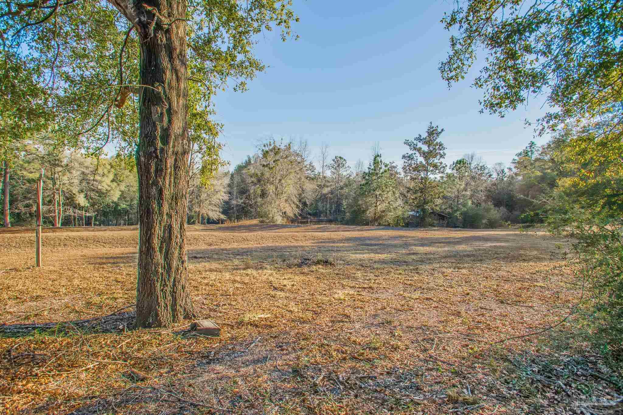 5150-5172 Siripon Road Milton, FL 32570 - Photo 42 of 54 a view of backyard with large trees