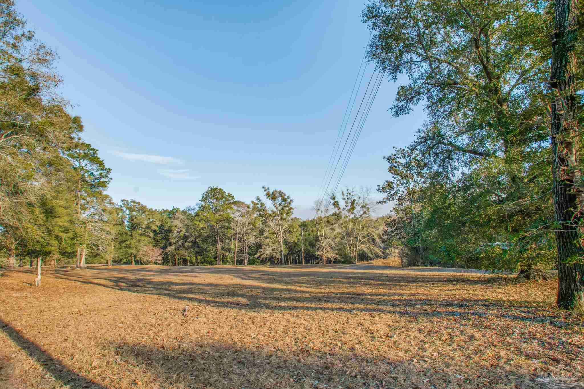 5150-5172 Siripon Road Milton, FL 32570 - Photo 48 of 54 a view of a yard with large trees