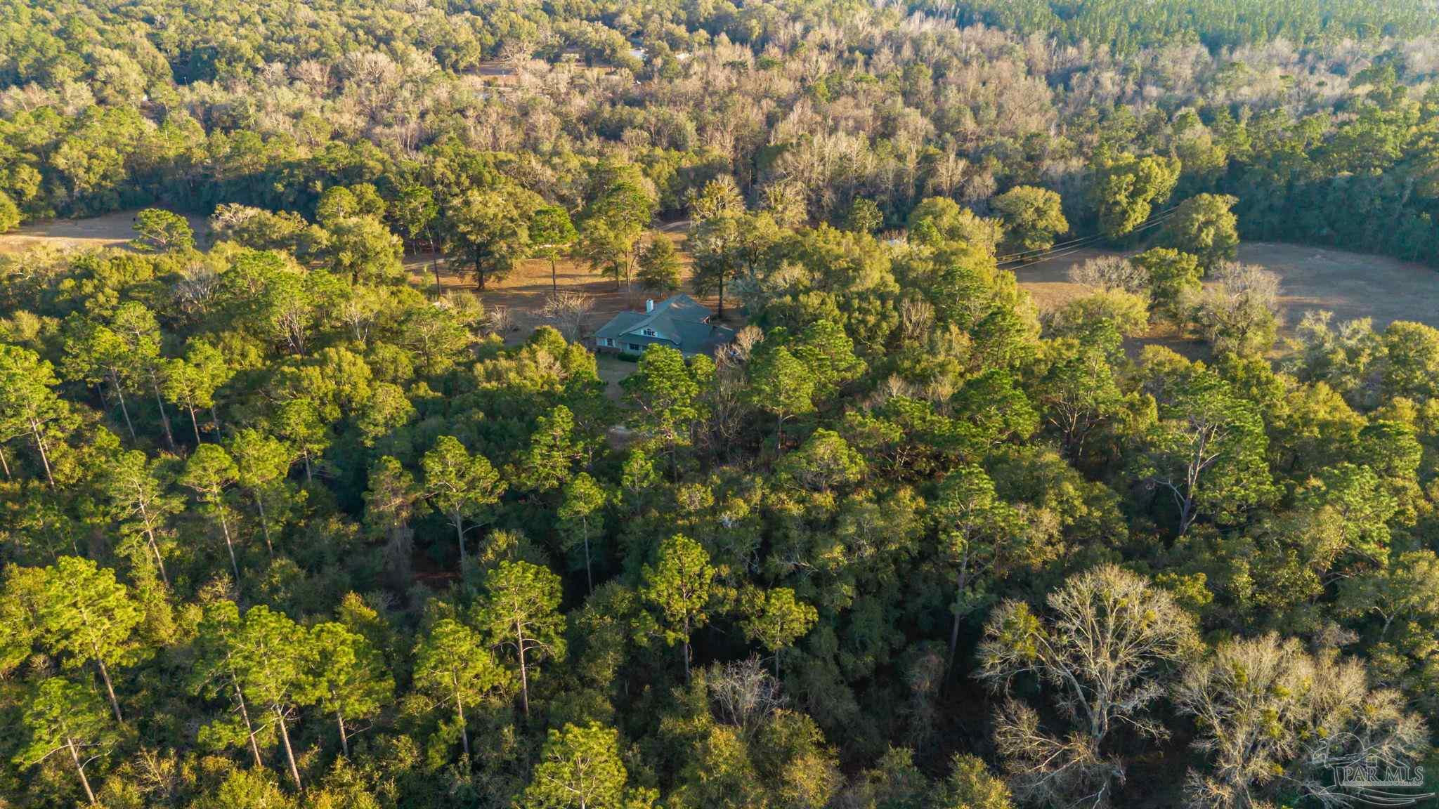 5150-5172 Siripon Road Milton, FL 32570 - Photo 49 of 54 a view of a yard