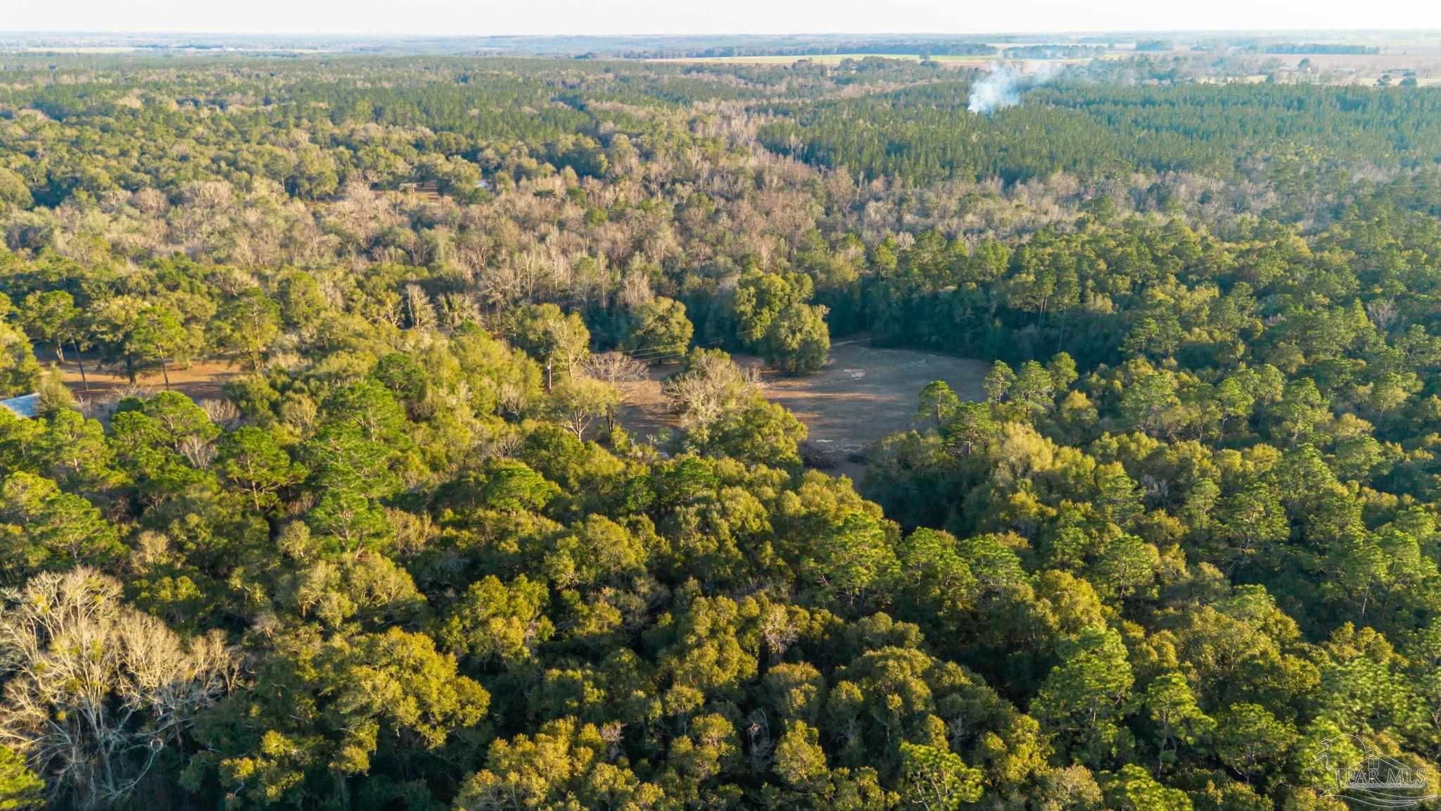 5150-5172 Siripon Road Milton, FL 32570 - Photo 54 of 54 an aerial view of residential houses with outdoor space and trees