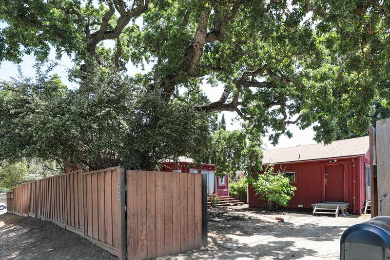a view of backyard with wooden fence and large trees
