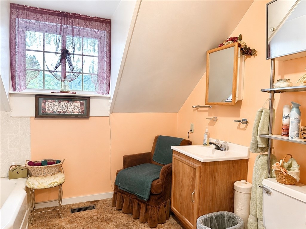 47 Maple Street, Unit 101 Addison, NY 14801 - Photo 29 of 35 apt 101 upper bathroom