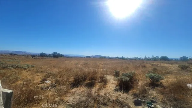 a view of a lake with lots of trees