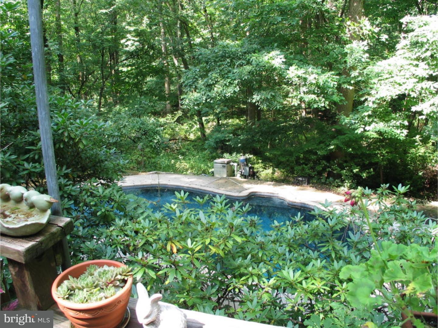 58 Highspire Road Downingtown, PA 19335 - Photo 18 of 25 Pool