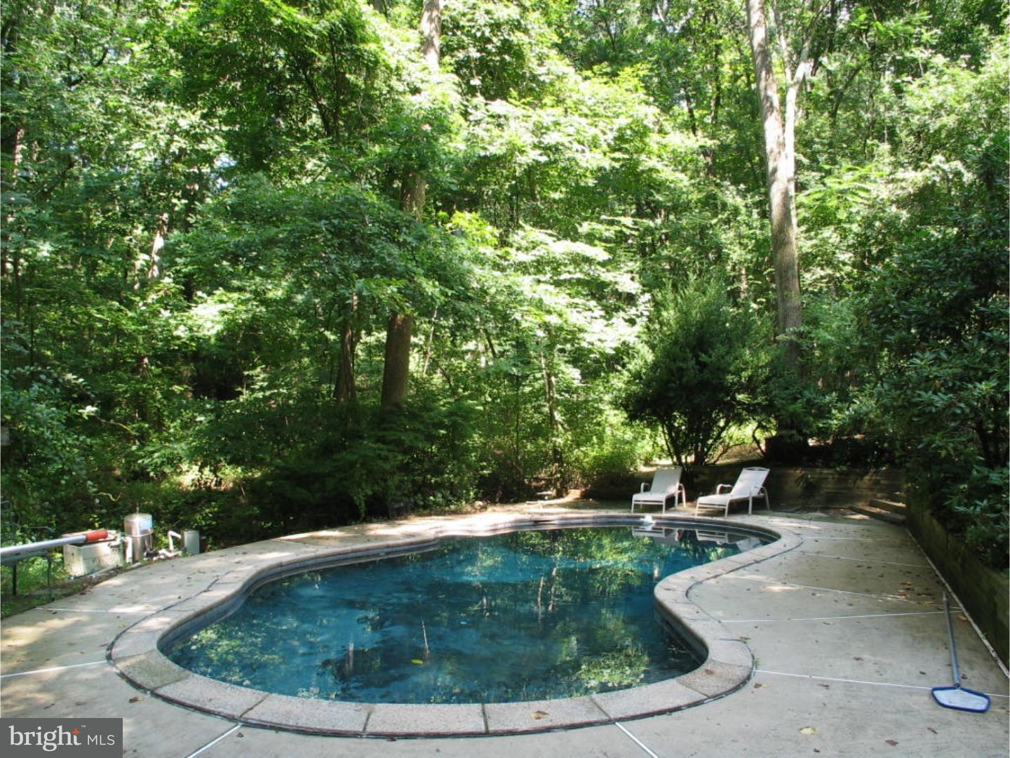 58 Highspire Road Downingtown, PA 19335 - Photo 19 of 25 Pool