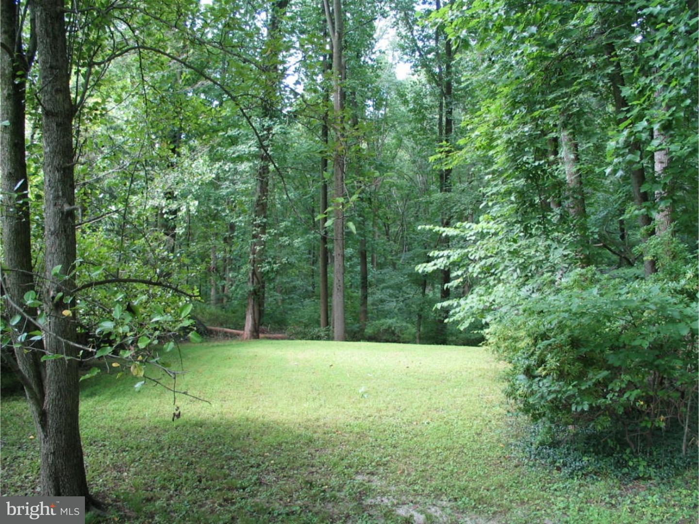 58 Highspire Road Downingtown, PA 19335 - Photo 21 of 25 Side Yard