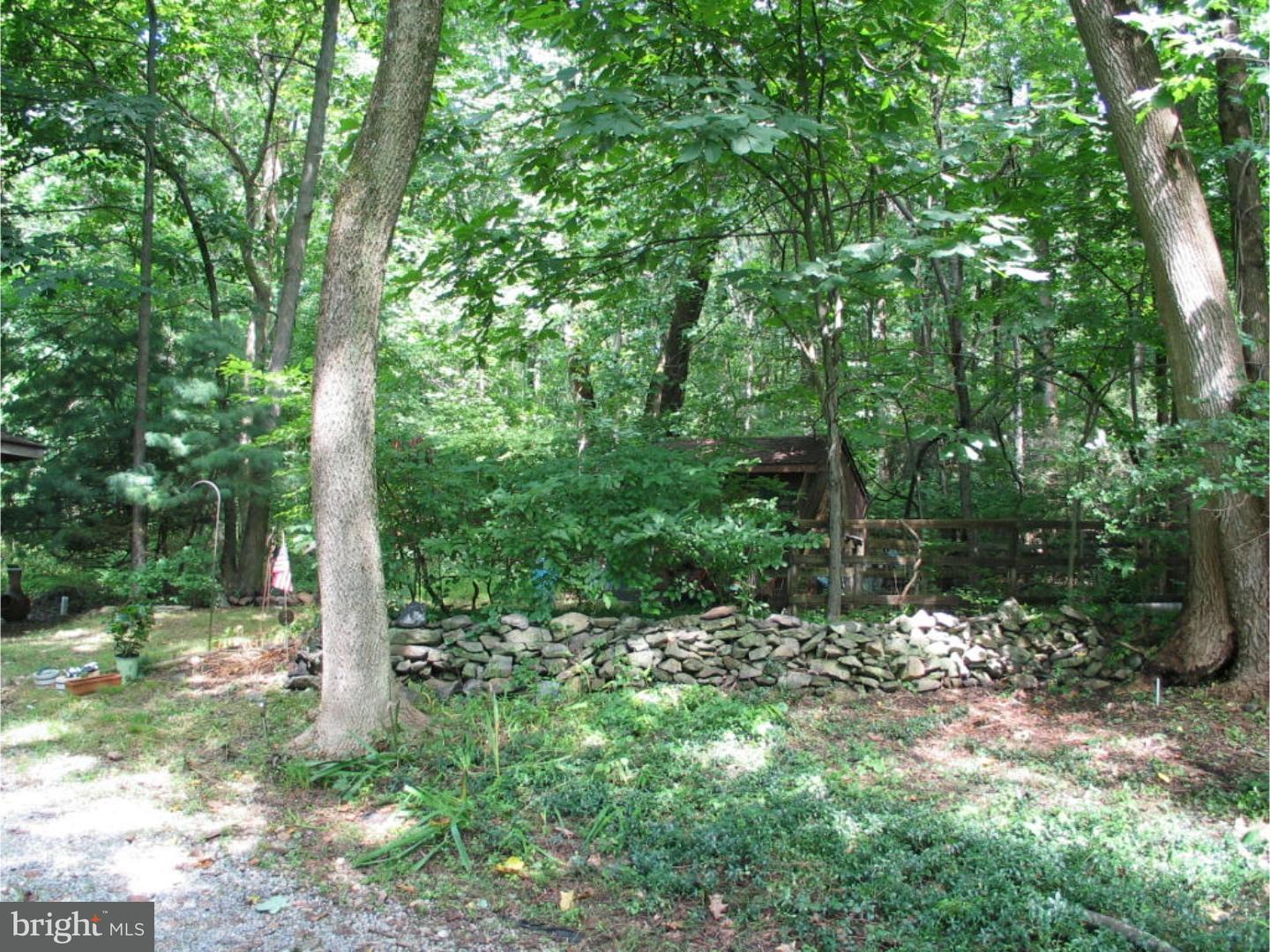 58 Highspire Road Downingtown, PA 19335 - Photo 22 of 25 Side Yard