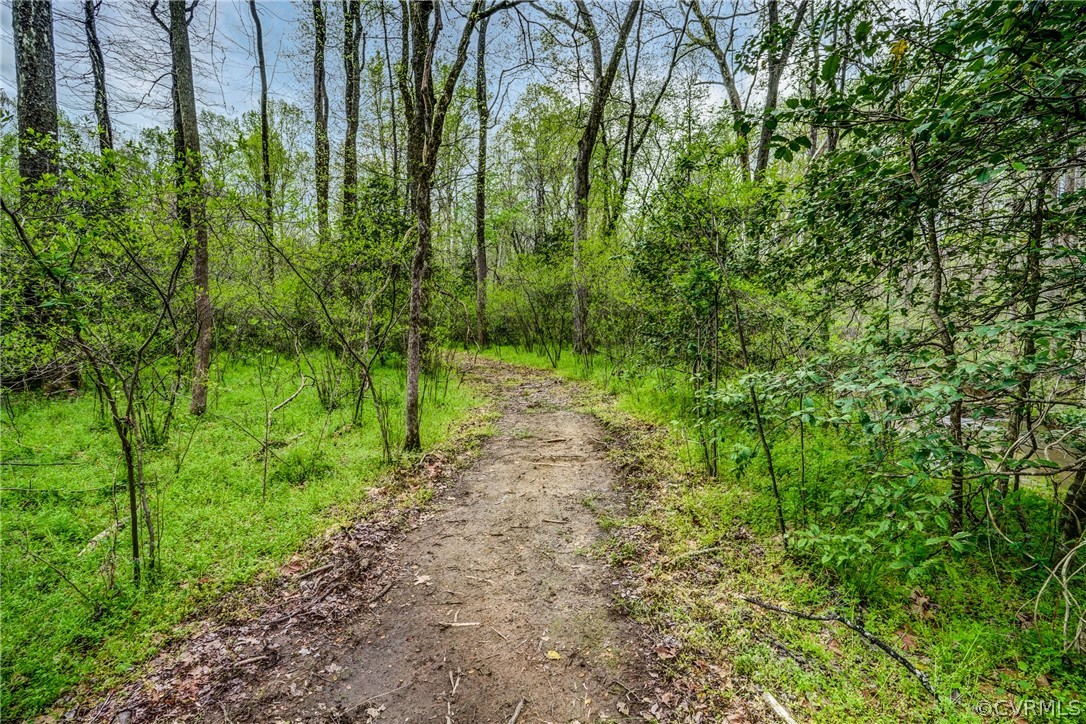 2855 Red Lane Road Powhatan, VA 23139 - Photo 41 of 42 a view of a yard with plants