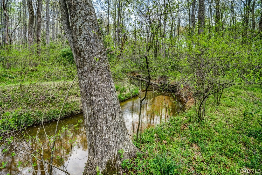 2855 Red Lane Road Powhatan, VA 23139 - Photo 42 of 42 a view of a garden