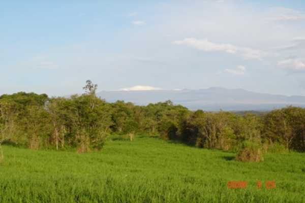 275 Akolea Road Hilo, HI 96720 - Photo 4 of 11 a view of a city