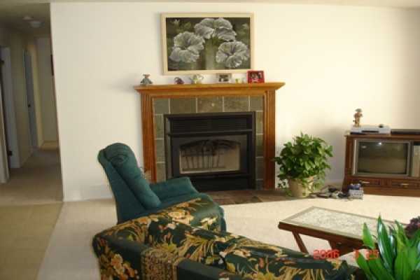 275 Akolea Road Hilo, HI 96720 - Photo 9 of 11 a living room with furniture and a fireplace