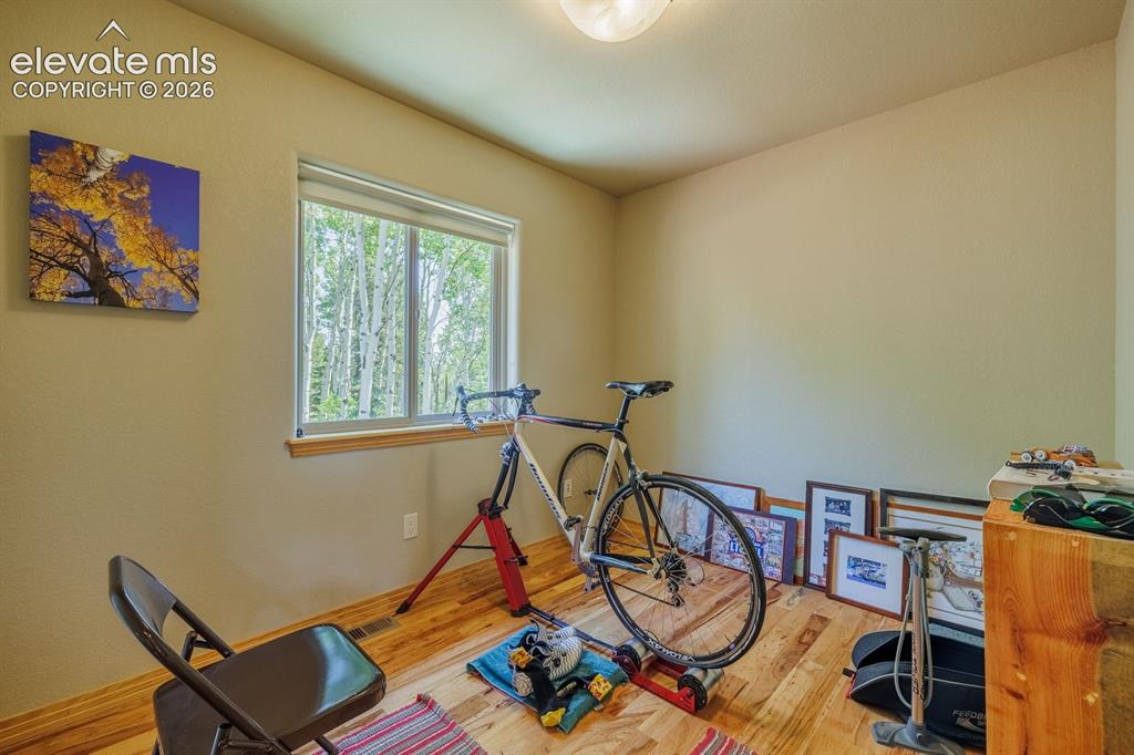 392 Aspen Village Road Divide, CO 80814 - Photo 26 of 43
