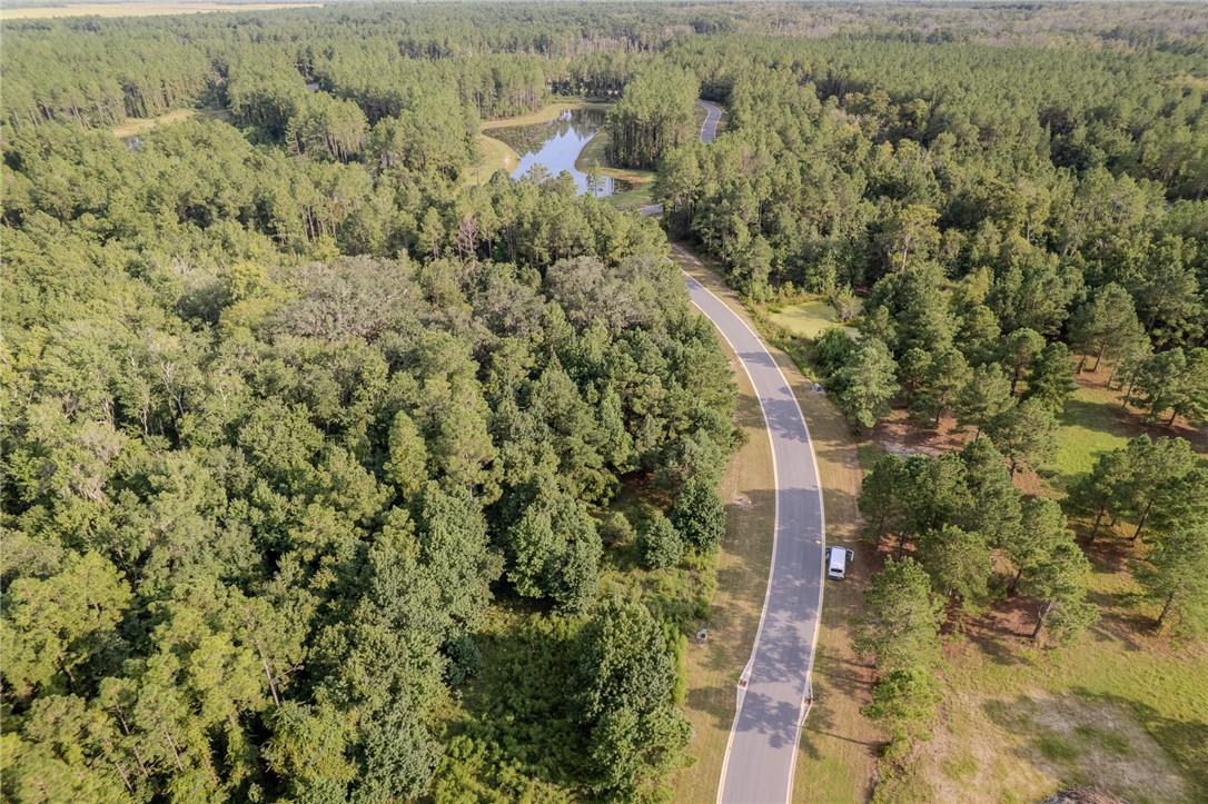 Lot 192 Bridge View Lane Waverly, GA 31565 - Photo 11 of 14