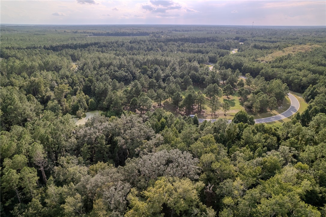 Lot 192 Bridge View Lane Waverly, GA 31565 - Photo 12 of 14