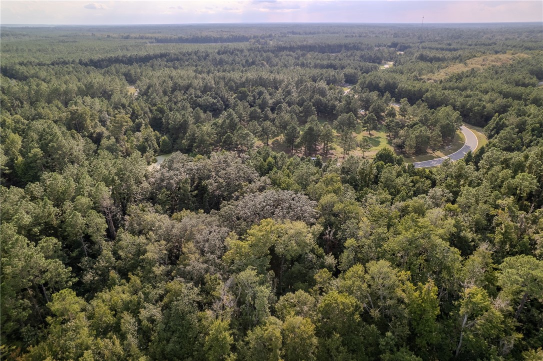 Lot 192 Bridge View Lane Waverly, GA 31565 - Photo 13 of 14