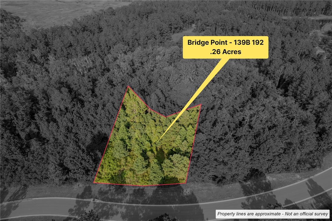 Lot 192 Bridge View Lane Waverly, GA 31565 - Photo 14 of 14