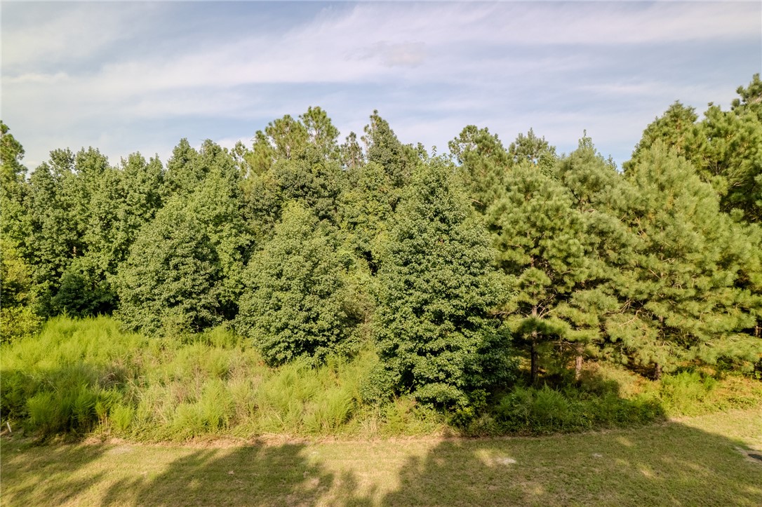 Lot 192 Bridge View Lane Waverly, GA 31565 - Photo 3 of 14