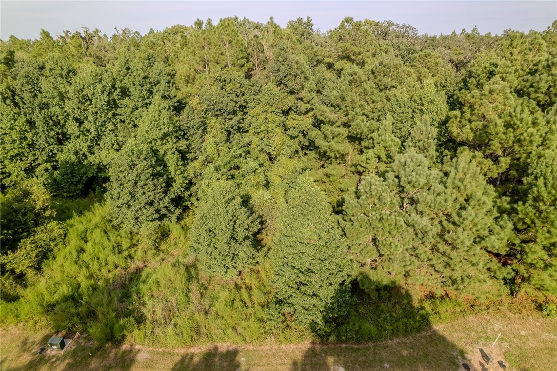 Lot 192 Bridge View Lane Waverly, GA 31565 - Photo 4 of 14