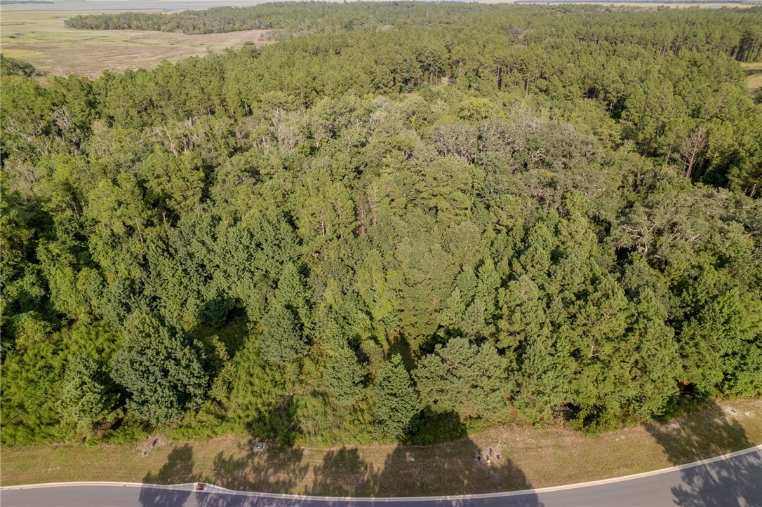 Lot 192 Bridge View Lane Waverly, GA 31565 - Photo 5 of 14