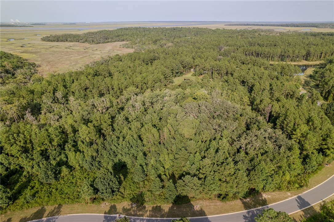 Lot 192 Bridge View Lane Waverly, GA 31565 - Photo 6 of 14