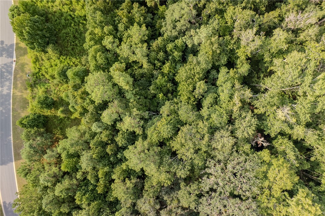 Lot 192 Bridge View Lane Waverly, GA 31565 - Photo 7 of 14