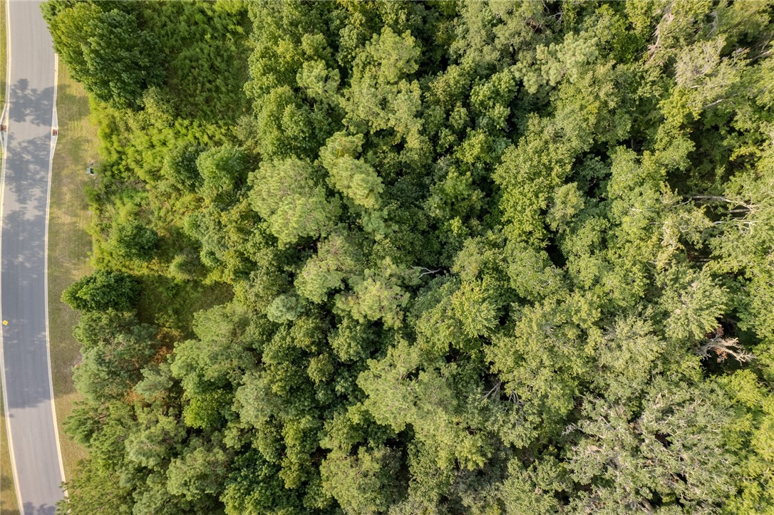 Lot 192 Bridge View Lane Waverly, GA 31565 - Photo 8 of 14