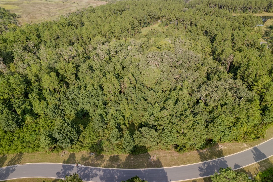 Lot 192 Bridge View Lane Waverly, GA 31565 - Photo 9 of 14