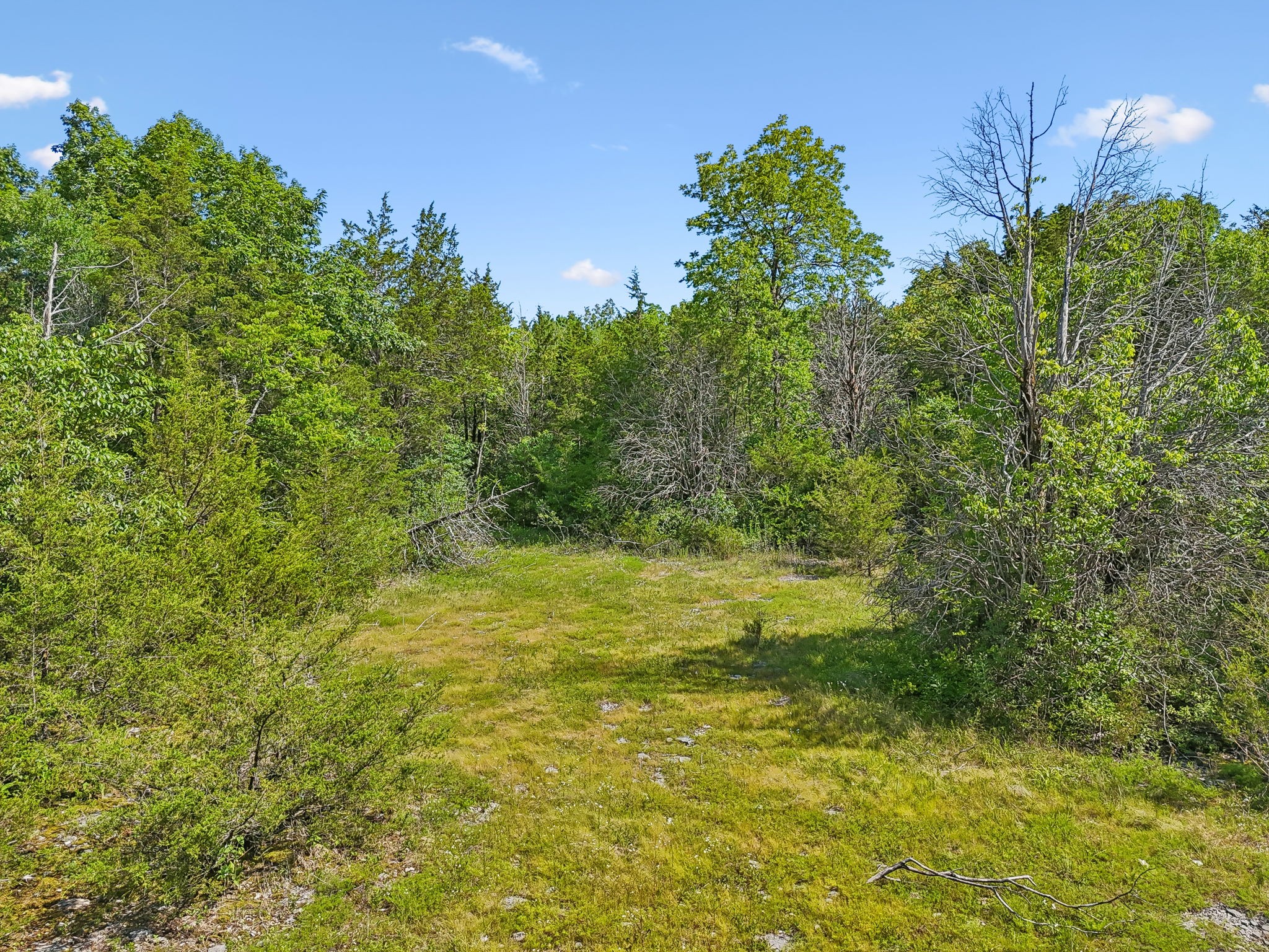 10897 Bunker Hill Road Rockvale, TN 37153 - Photo 27 of 38