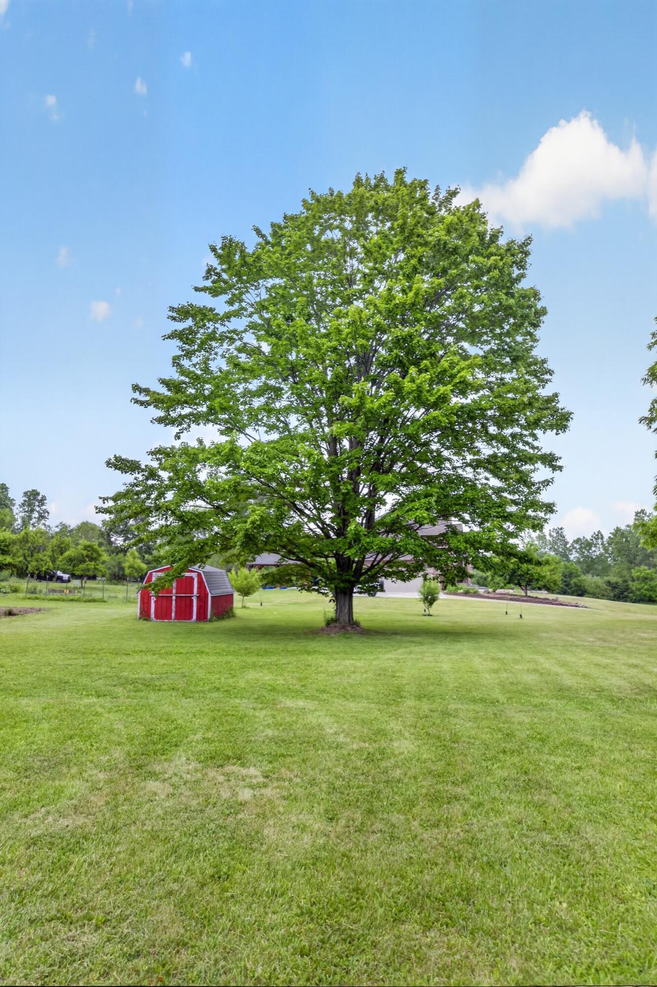 10311 Warner Road Milan, MI 48160 - Photo 57 of 84 Red maple tree