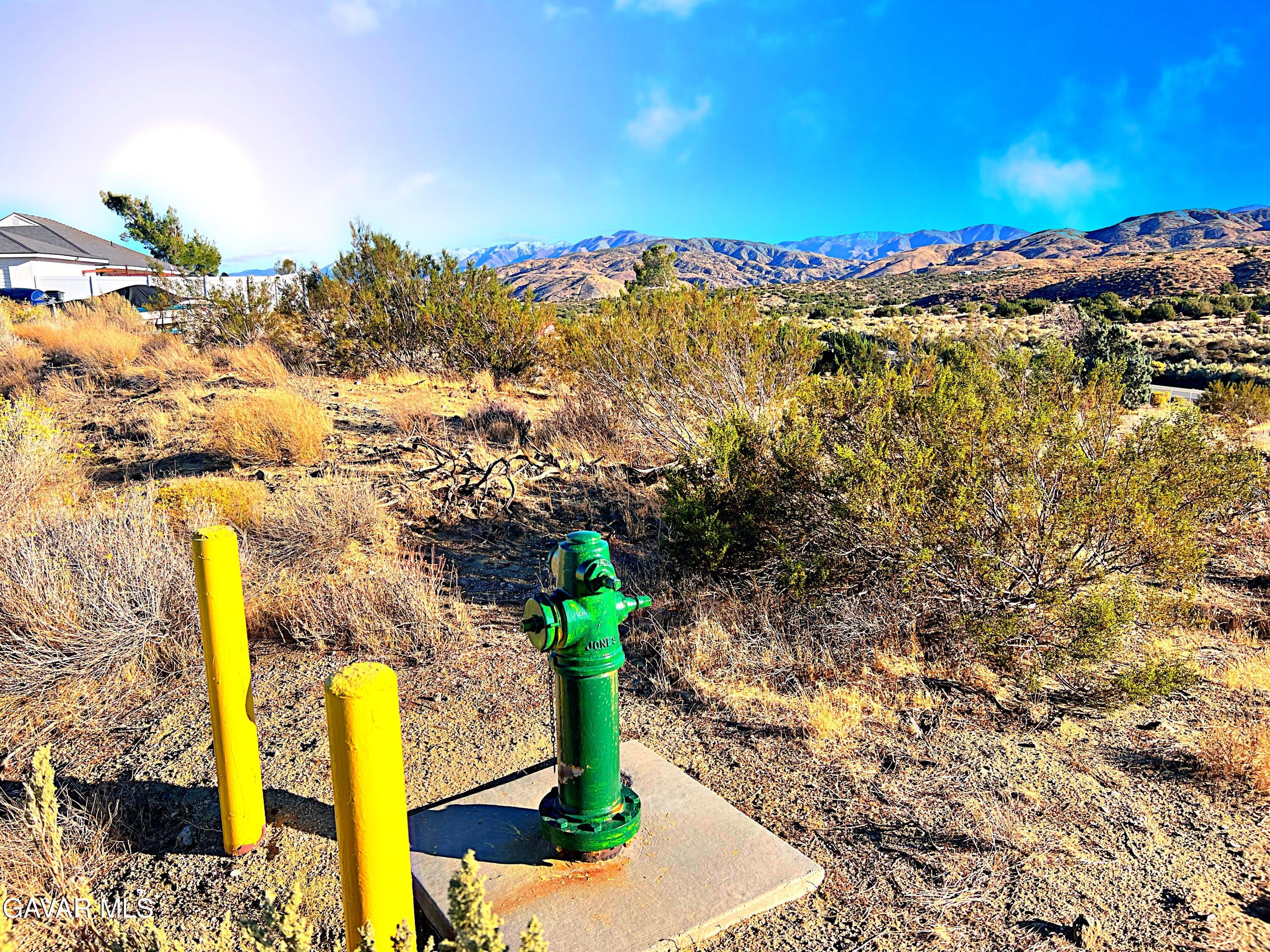 Vac/barrel Spring Road Palmdale, CA 93552 - Photo 23 of 33 a view of a yard
