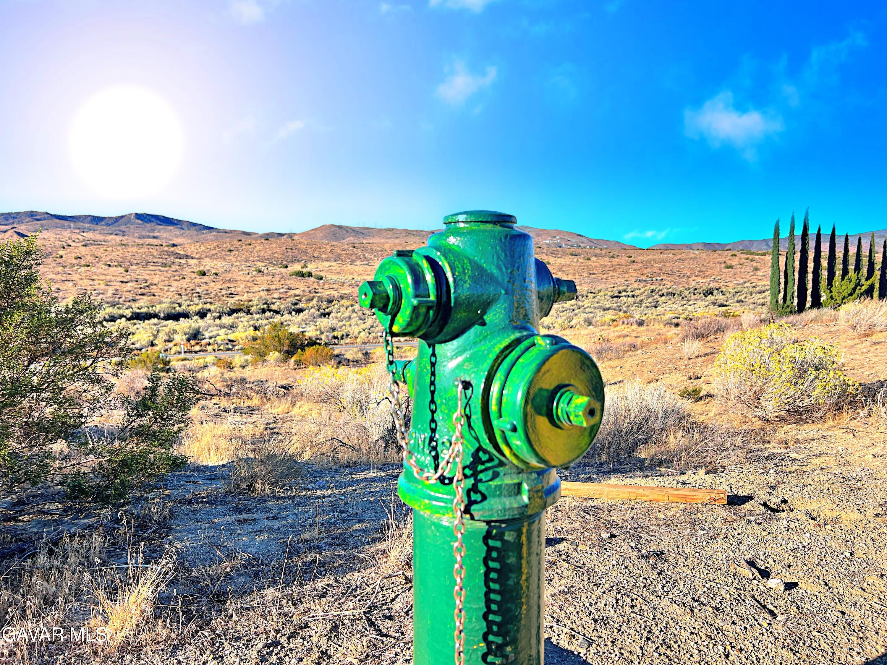Vac/barrel Spring Road Palmdale, CA 93552 - Photo 4 of 33 a view of outside space yard and mountain view in back