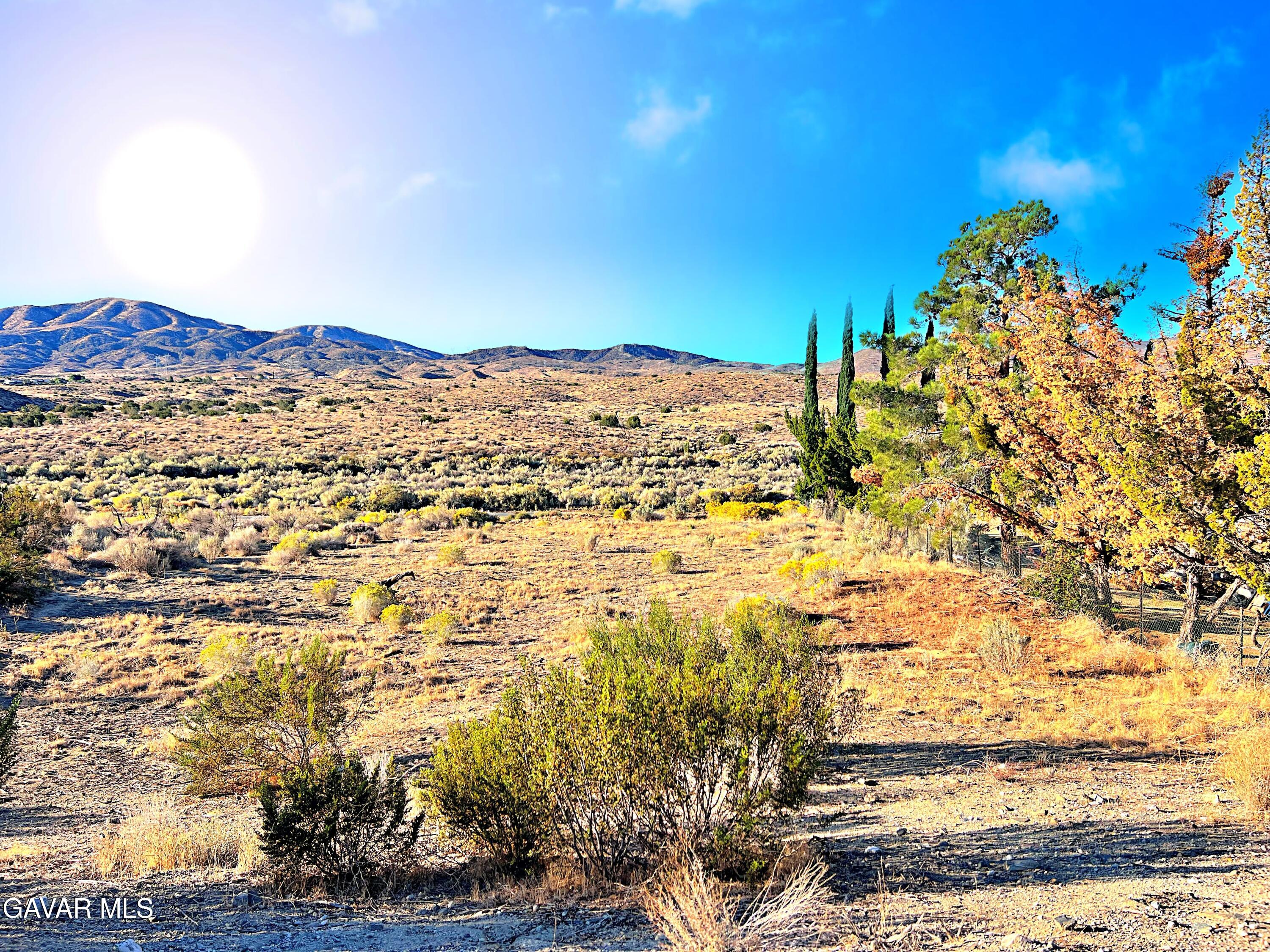 Vac/barrel Spring Road Palmdale, CA 93552 - Photo 7 of 33 a view of lake