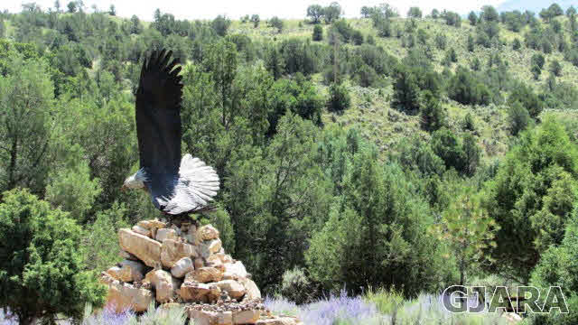 210 Rusty Spur Ridgway, CO 81432 - Photo 13 of 35 Gallery Image 13