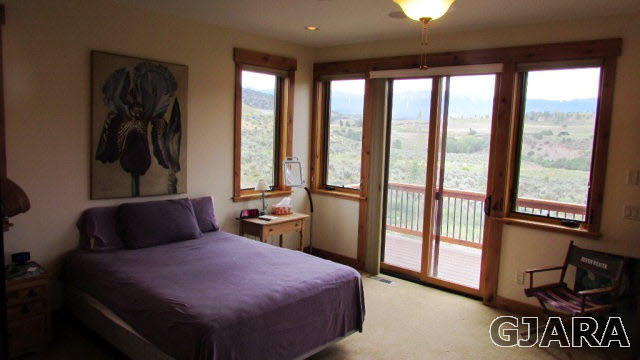 210 Rusty Spur Ridgway, CO 81432 - Photo 8 of 35 Gallery Image 8