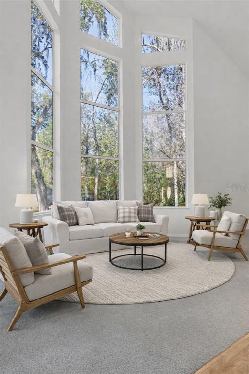 5248 Neff Lake Road Brooksville, FL 34601 - Photo 3 of 93