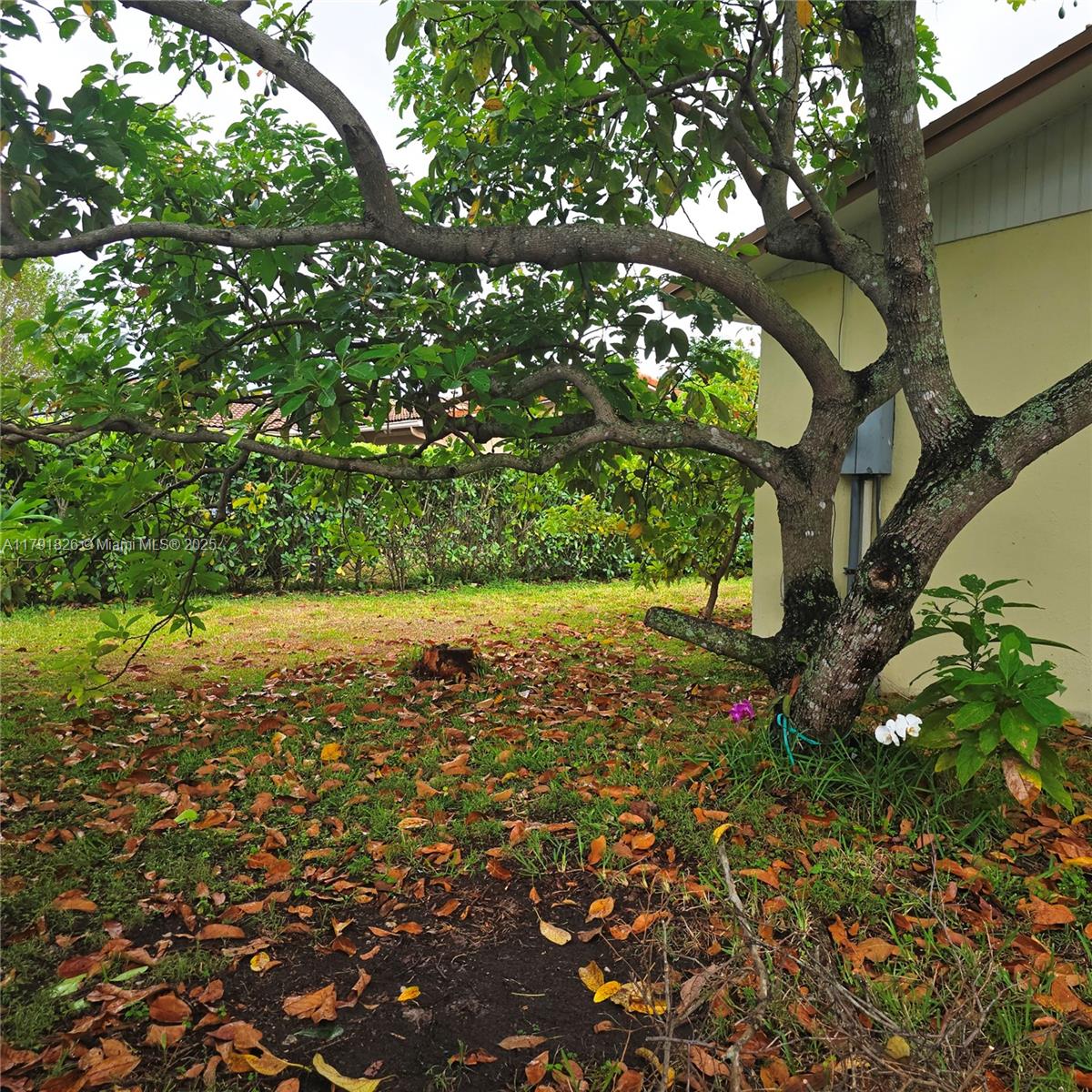 12900 Southwest 81st Street Miami, FL 33183 - Photo 18 of 19 a view of a yard with plants and large trees
