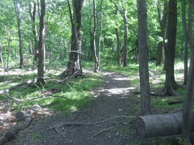 $599,000 | 460 West 236th Street, Unit 4B | Fieldston