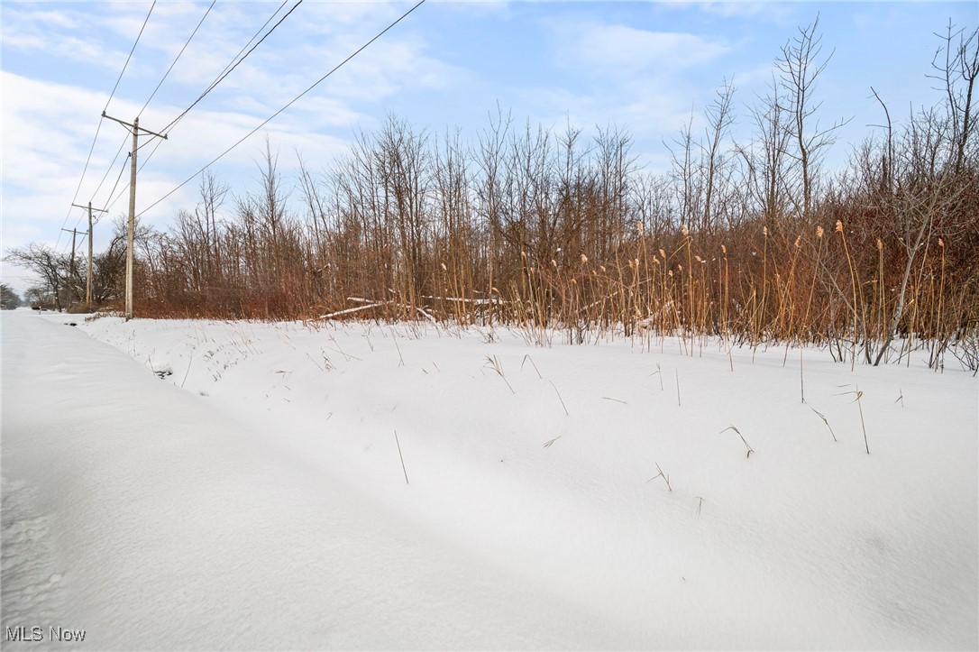Ledge Road Thompson, OH 44086 - Photo 22 of 26 View of yard covered in snow
