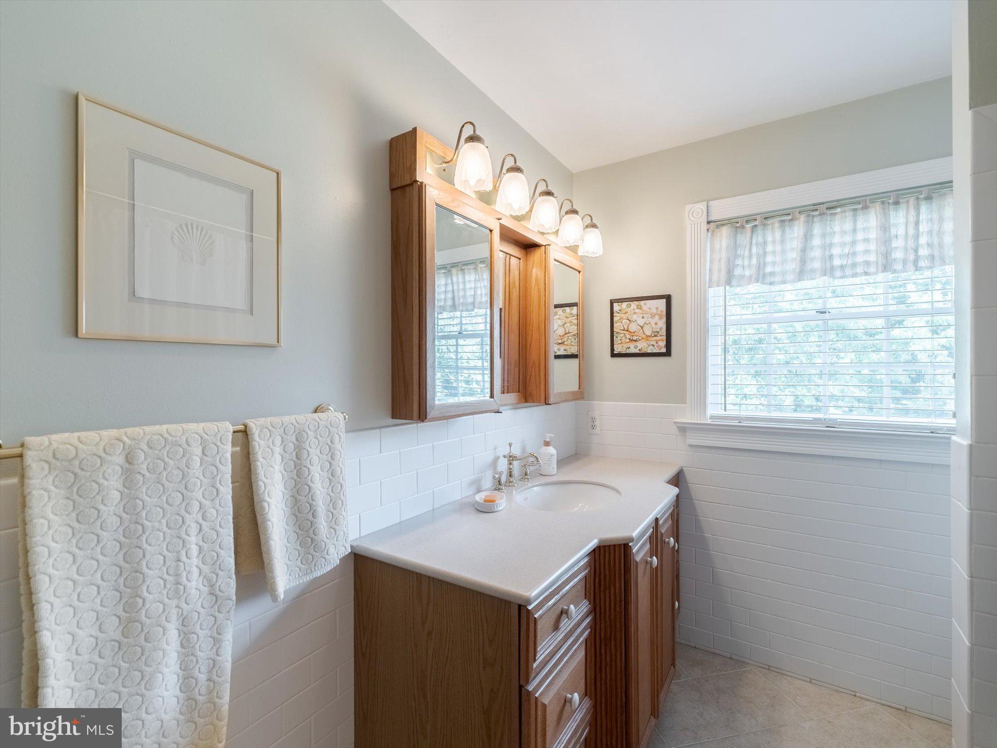1655 Kriebel Mill Road Collegeville, PA 19426 - Photo 41 of 57 a bathroom with a sink vanity and a mirror