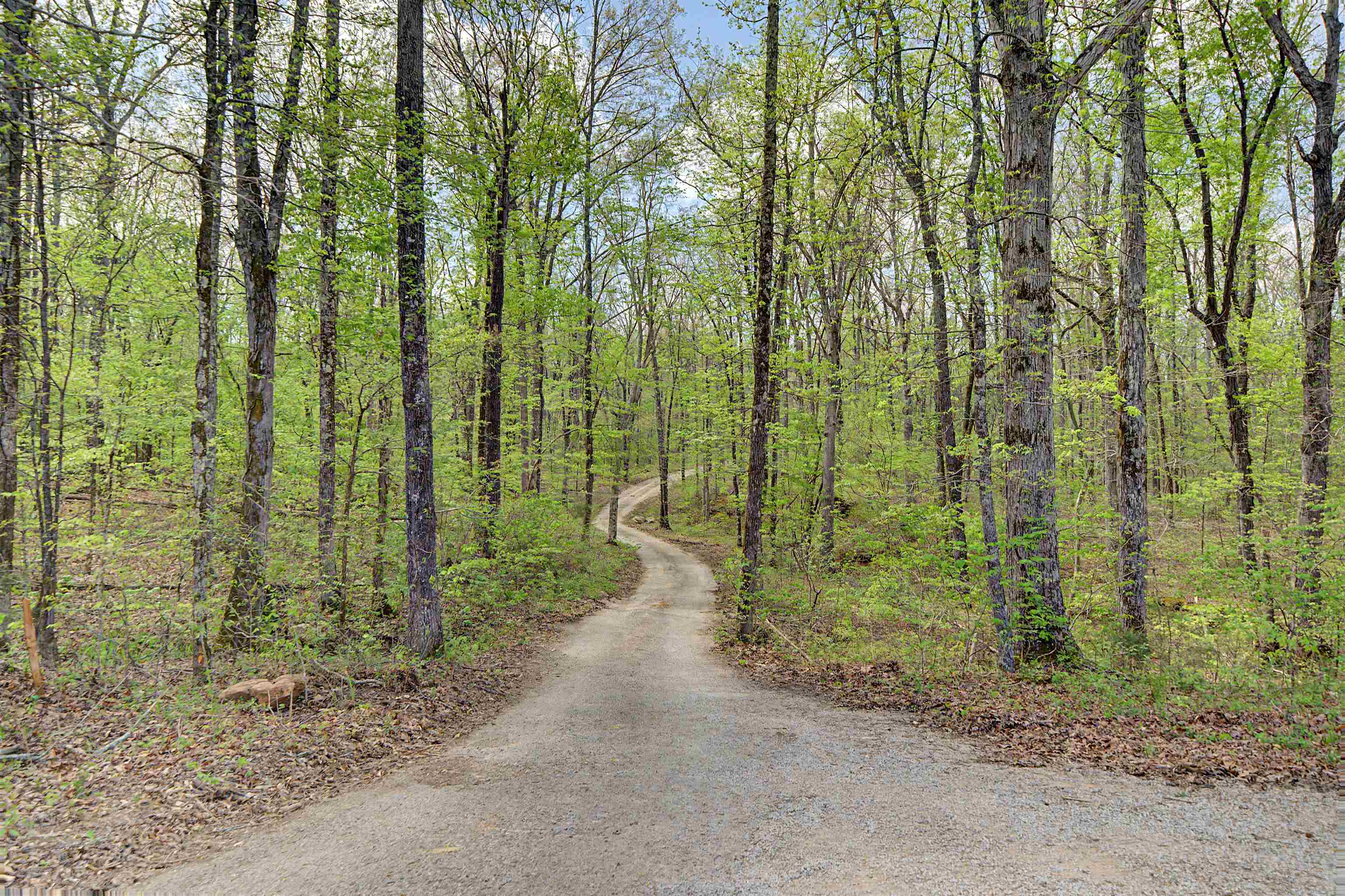 300 Grace Thomas Road Michie, TN 38357 - Photo 25 of 26 View of street featuring a forest view