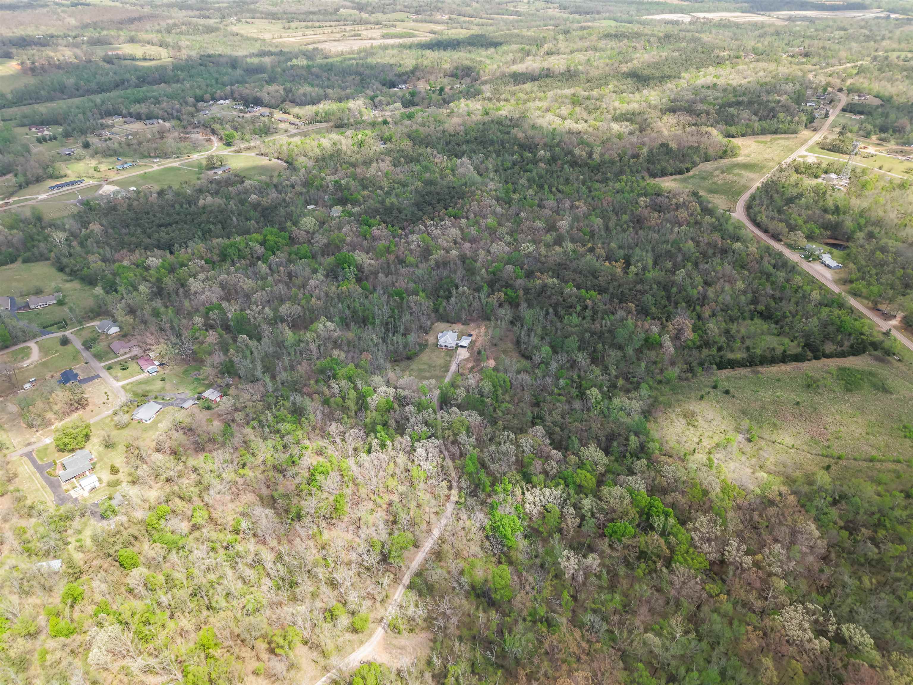 300 Grace Thomas Road Michie, TN 38357 - Photo 3 of 26 Aerial view of a heavily wooded area