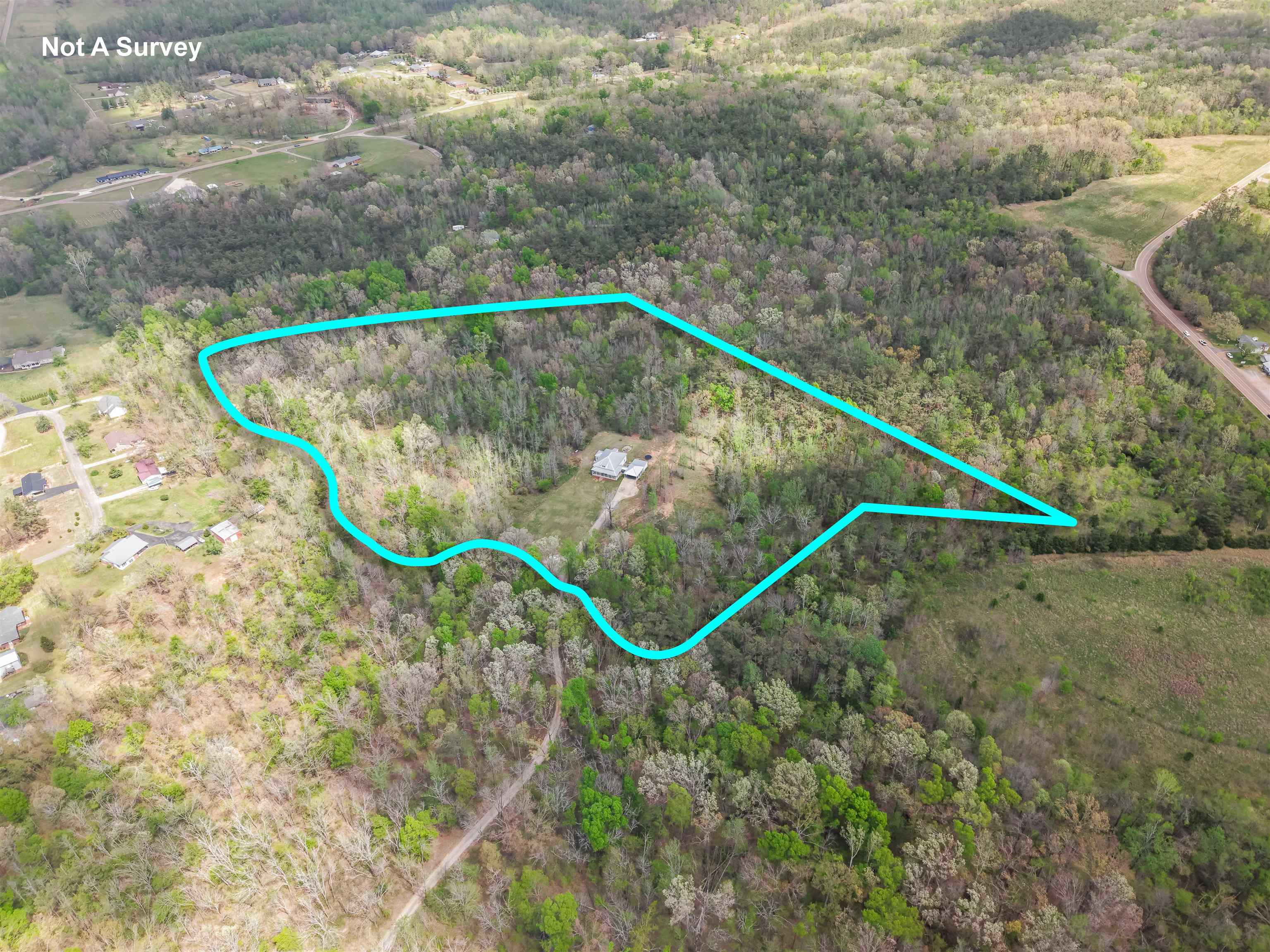 300 Grace Thomas Road Michie, TN 38357 - Photo 4 of 26 Aerial view of property and surrounding area featuring a forest and property boundaries highlighted