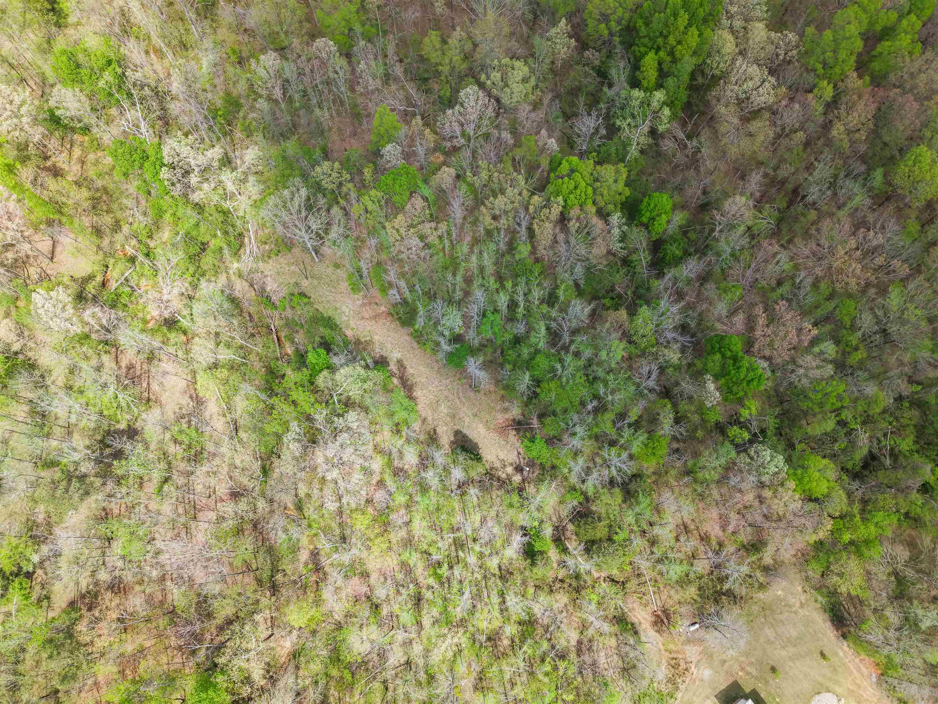 300 Grace Thomas Road Michie, TN 38357 - Photo 5 of 26 Aerial view of a heavily wooded area