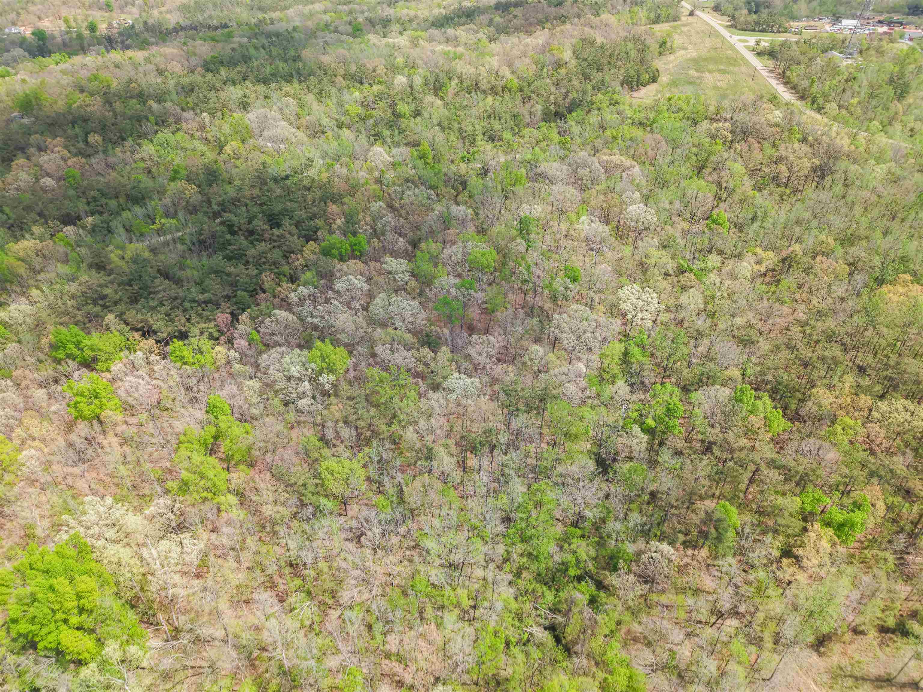 300 Grace Thomas Road Michie, TN 38357 - Photo 6 of 26 Aerial view of a forest