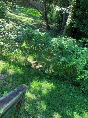 a view of small space