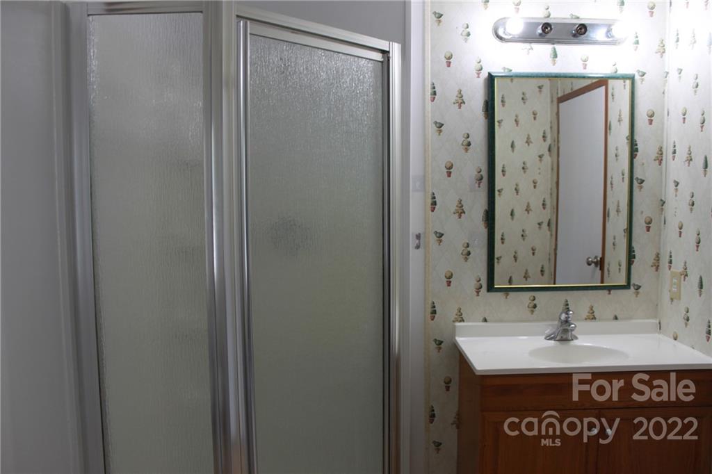 339 Dewitt Owens Road Rutherfordton, NC 28139 - Photo 39 of 48 a bathroom with a sink and a mirror
