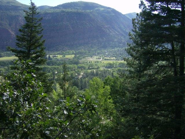 202 Elk Ridge Trail Ridgway, CO 81432 - Photo 1 of 8 VIEW OF LAND