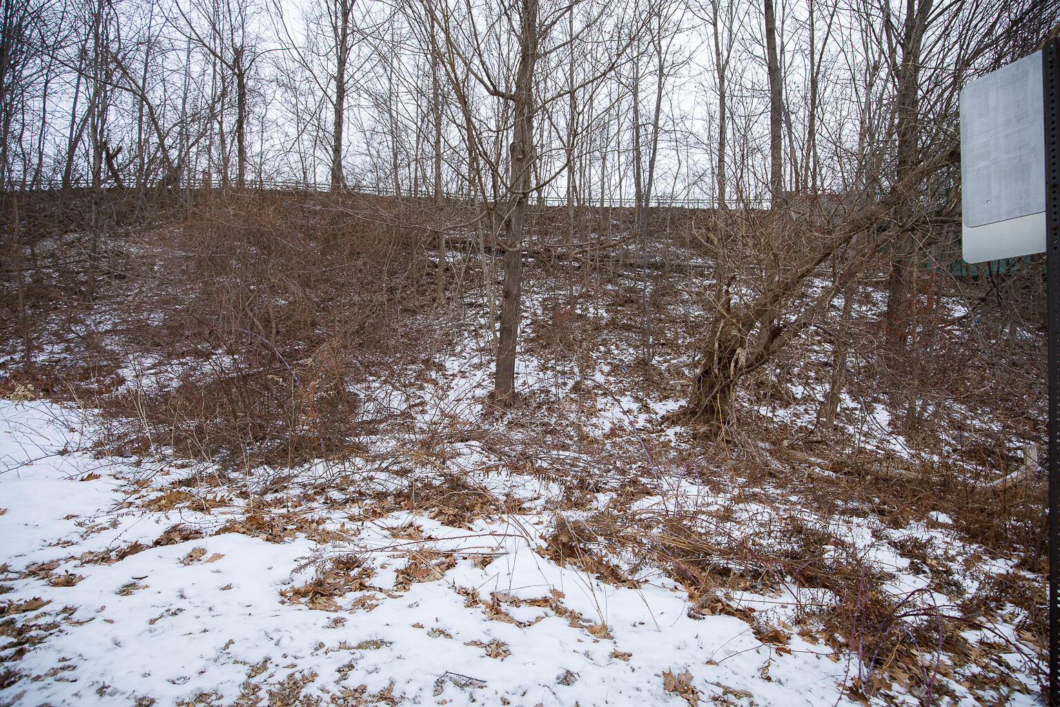 0 Arsenal Street Augusta, ME 04330 - Photo 20 of 31 5S2A0926