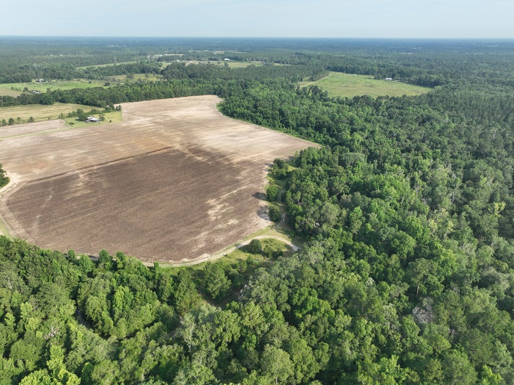 4884 Skipper Bridge Road Hahira, GA 31632 - Photo 16 of 21 Gallery Image 16